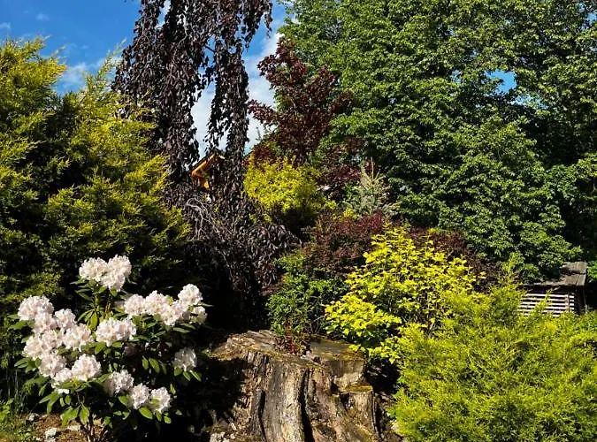 W Dolinie Ferienhaus